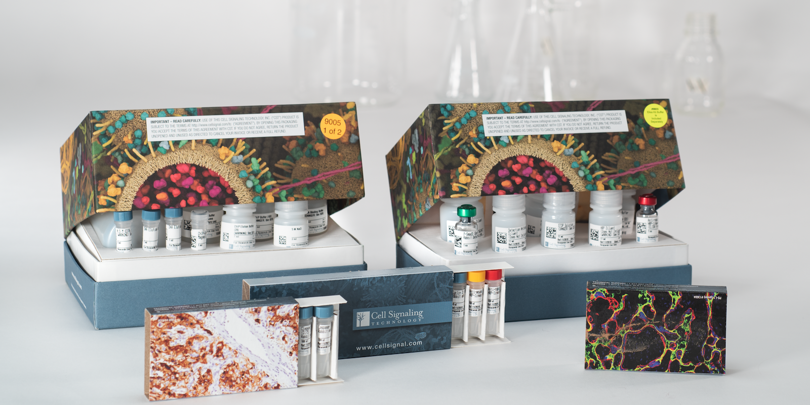The Science Behind CST Antibody Sampler Kits